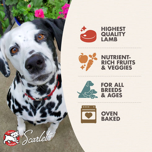 Fromm Four-Star Dog Treats - Lamb with Cranberry - 8oz Pouch